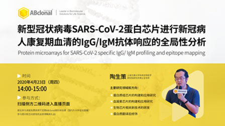 SARS-CoV-2蛋白芯片进行IgG/IgM抗体响应的全局性分析