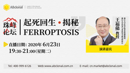 起死回生·揭秘Ferroptosis